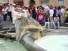 Fantanile din Roma