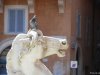 Fantanile din Roma
