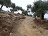 Insula Thassos - Giola