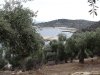 Insula Thassos - Giola