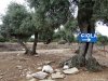 Insula Thassos - Giola