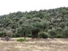 Insula Thassos - Giola