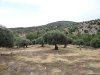 Insula Thassos - Giola