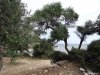 Insula Thassos - Giola
