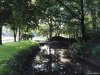 Gradina Botanica din Craiova