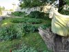 Gradina Botanica din Craiova