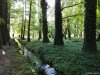 Gradina Botanica din Craiova