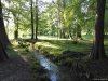 Gradina Botanica din Craiova
