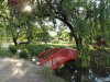 Gradina Botanica din Craiova