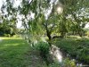 Gradina Botanica din Craiova