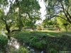 Gradina Botanica din Craiova