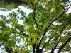 Gradina Botanica din Craiova