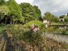 Gradina Botanica din Craiova