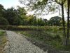Gradina Botanica din Craiova