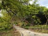 Gradina Botanica din Craiova
