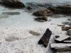 Insula Thassos - Marble Beach