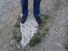 Monte Stella