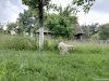 Muzeul arhitecturii populare din Gorj