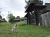 Muzeul arhitecturii populare din Gorj