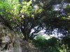 Insula Thassos - Pestera Dragonului (Drakotripa)