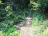 Insula Thassos - Pestera Dragonului (Drakotripa)