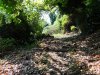Insula Thassos - Pestera Dragonului (Drakotripa)