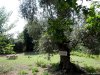 Insula Thassos - Pestera Dragonului (Drakotripa)