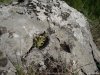 Complexul carstic de la Ponoarele