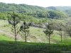 Complexul carstic de la Ponoarele
