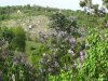 Complexul carstic de la Ponoarele