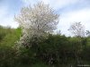 Complexul carstic de la Ponoarele