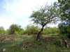 Complexul carstic de la Ponoarele
