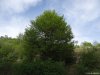 Complexul carstic de la Ponoarele