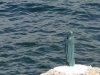 Insula Thassos - Skala Marion