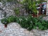 Insula Thassos - Theologos