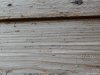 Abatia Cisterciana din Carta