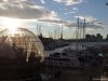 Acvariul din Genova