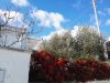 Alberobello