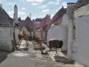 Alberobello