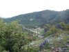 Baia de Fier