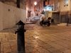 Bari