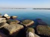Bari