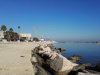 Bari