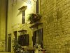 Bari