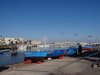 Bari