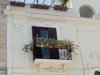 Bari