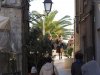 Bari