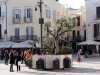 Bari