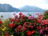 Bellagio