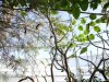 Biosfera